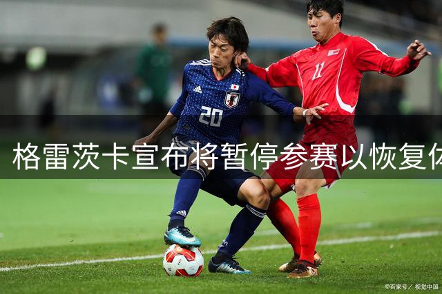 格雷茨卡宣布将暂停参赛以恢复体能